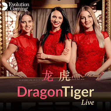 Dragon Tiger game cover